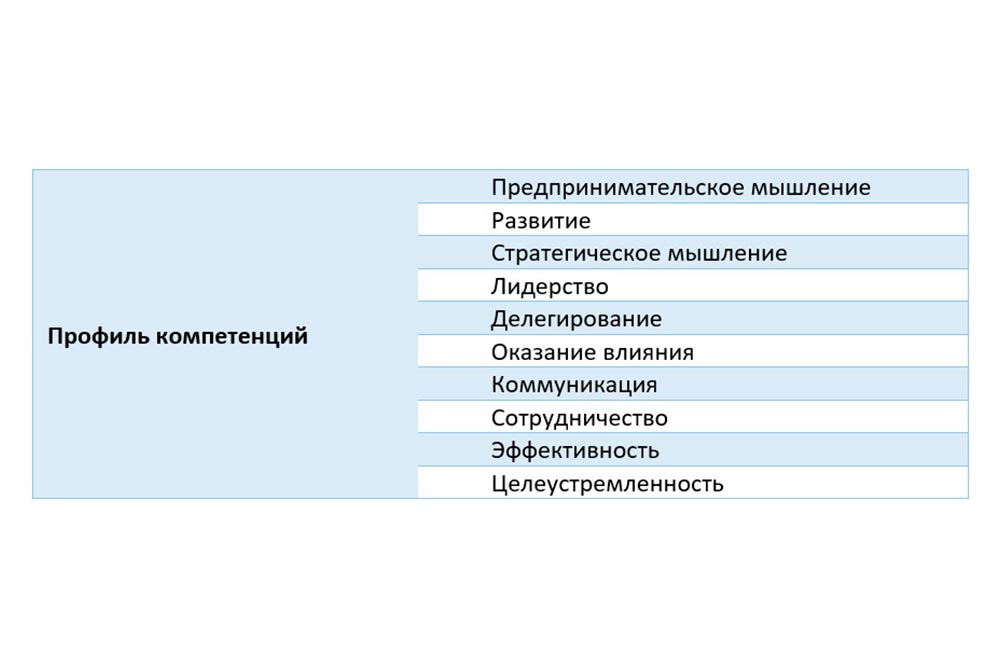 1 360Competencymodel 2, Futurepeople